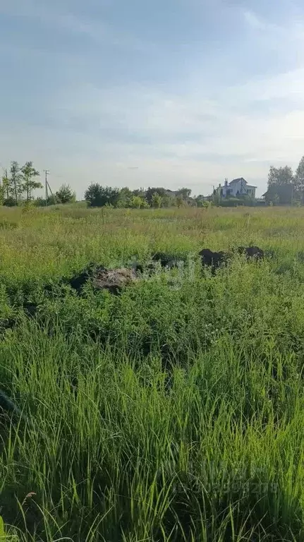 Участок в Белгородская область, Губкин ул. Туристов (15.0 сот.) - Фото 1