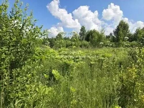 Участок в Московская область, Рузский муниципальный округ, д. Апухтино ... - Фото 1