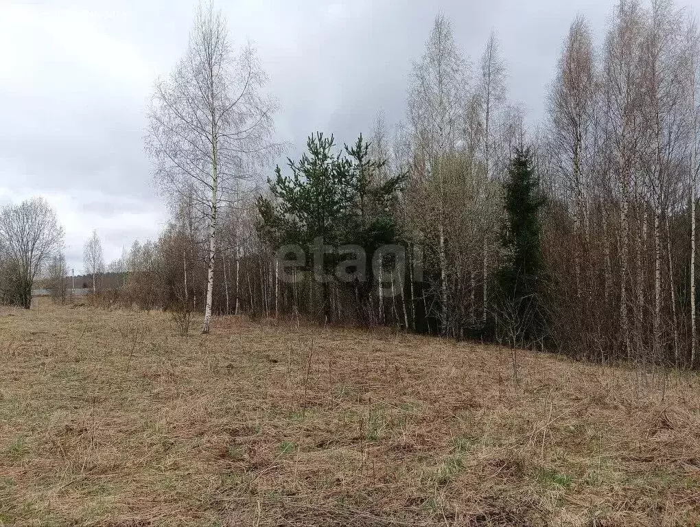 Участок в Лесколовское сельское поселение, ДНП Пять холмов (15.15 м) - Фото 1