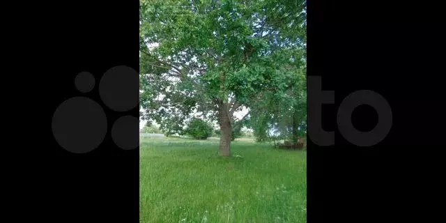 Участок 14,35 га (ИЖС) - Фото 0