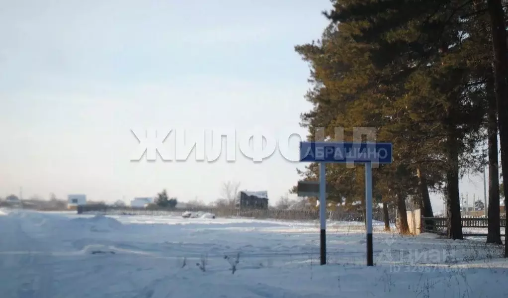 Участок в Новосибирская область, Ордынский район, д. Абрашино ... - Фото 1
