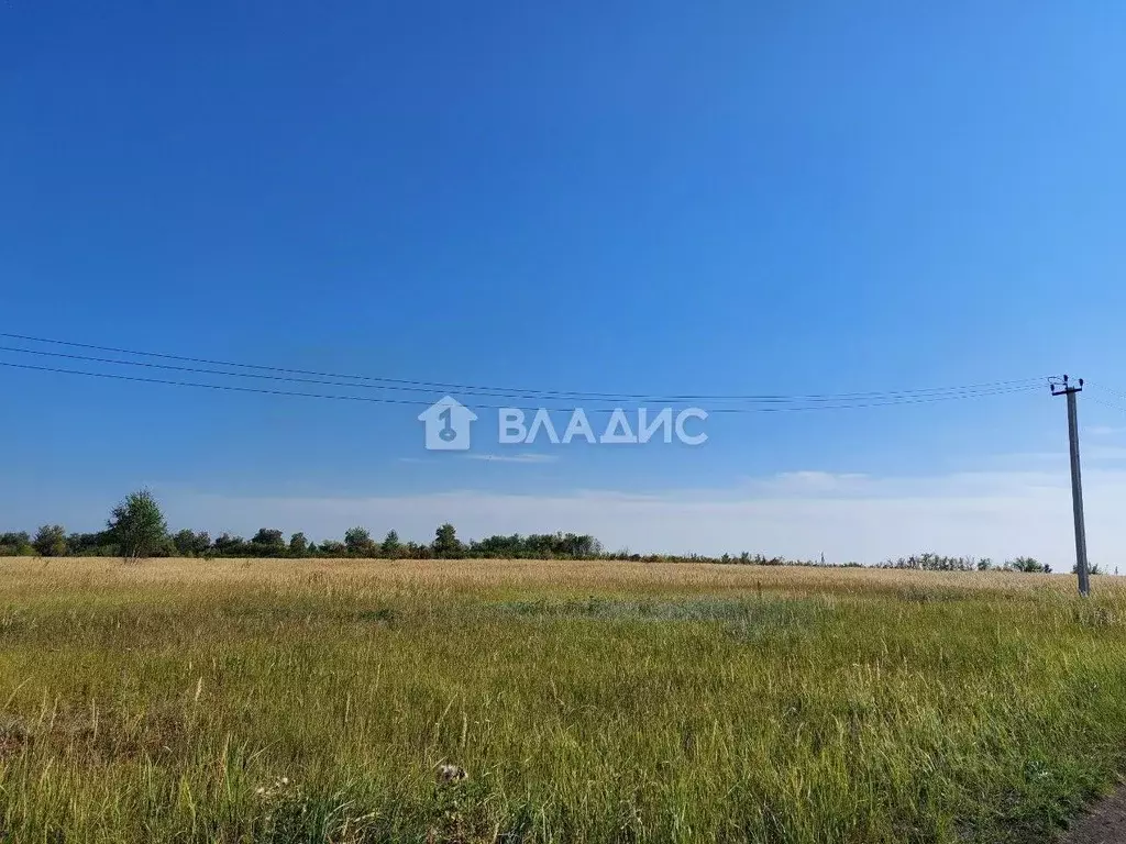 Участок в Пензенская область, с. Бессоновка, Радужный эко-посёлок  ... - Фото 1