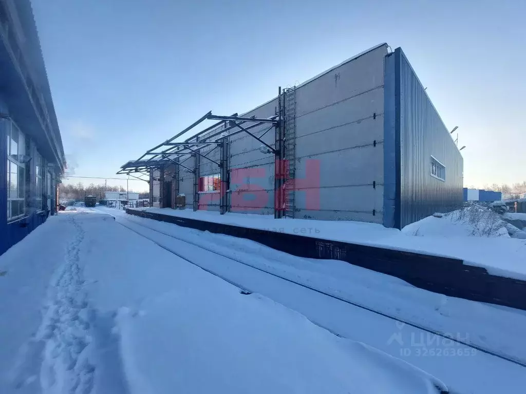 Склад в Тюменская область, Тюменский муниципальный округ, Горьковское ... - Фото 1