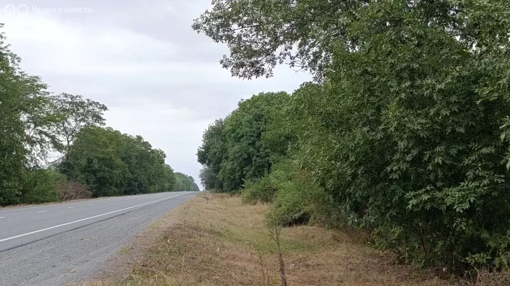 Участок в Хаталдон, улица К. Хетагурова, 18 (40 м) - Фото 0