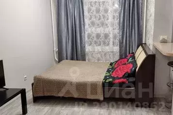 1-к кв. Рязанская область, Рязань Шереметьевская ул., 10к3 (25.0 м) - Фото 0