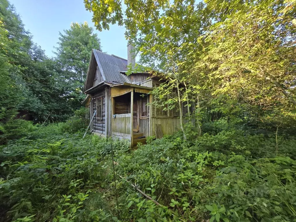 Участок в Ленинградская область, Ломоносовский район, Лебяженское ... - Фото 1
