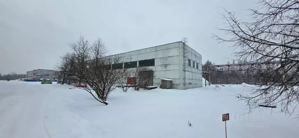 Помещение свободного назначения в Ленинградская область, Всеволожск ... - Фото 1