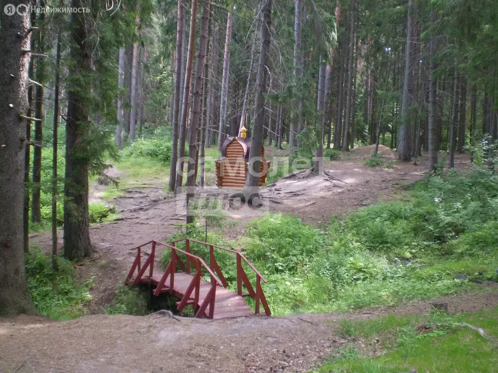 Участок в Московская область, городской округ Клин, деревня Микляево ... - Фото 2