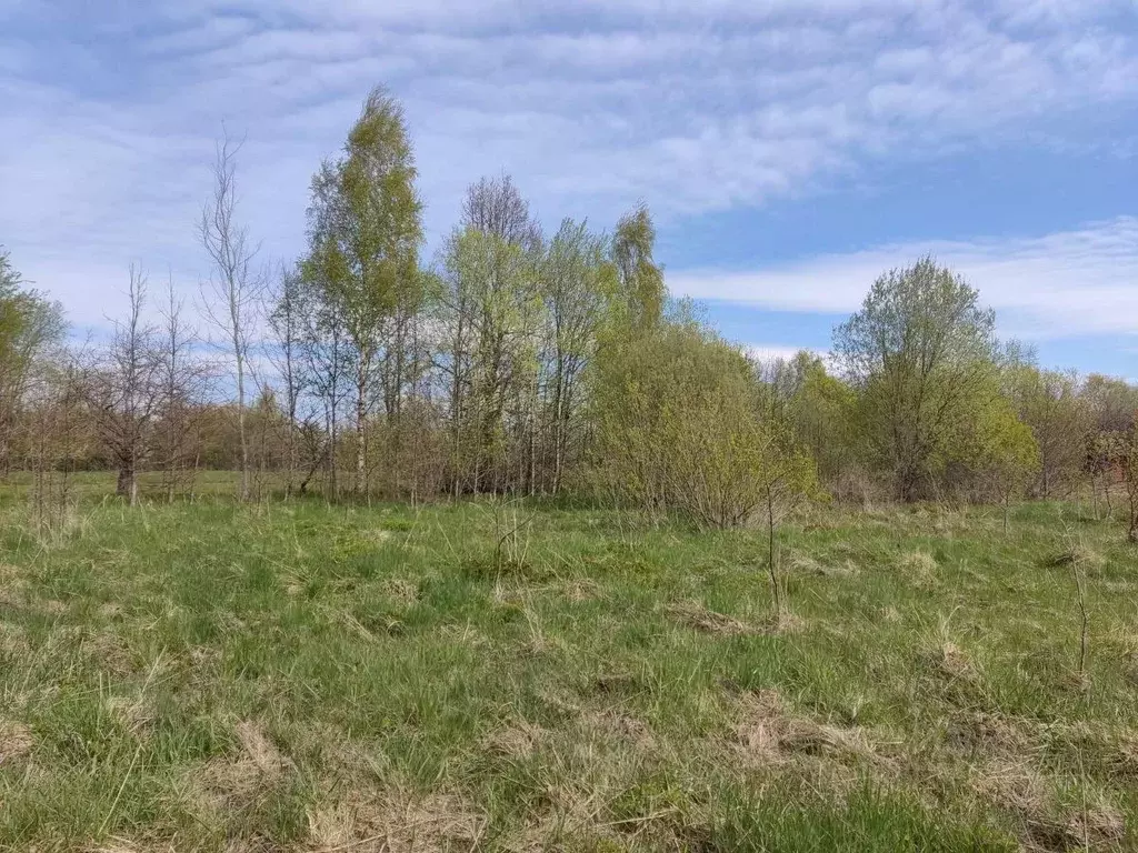 Участок в Псковская область, Гдов муниципальное образование, д. ... - Фото 1