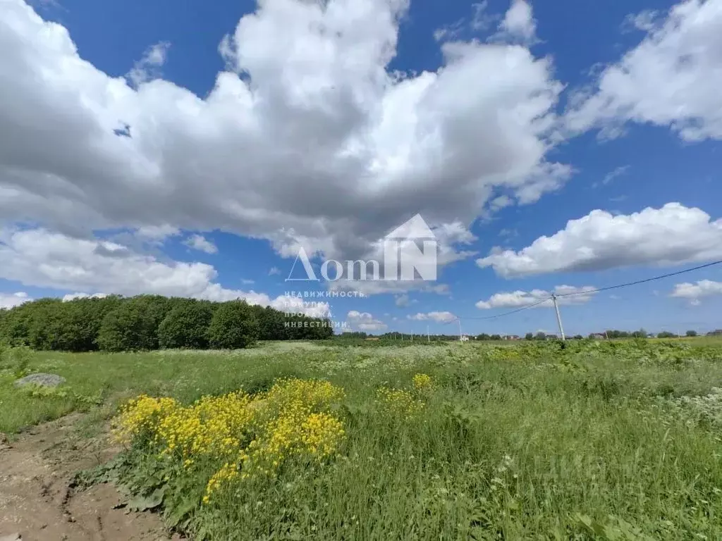 Участок в Ленинградская область, Ломоносовский район, Ропшинское ... - Фото 0