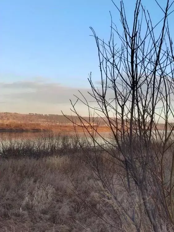 Участок в Иркутская область, Ангарский городской округ, пос. Мегет  ... - Фото 1