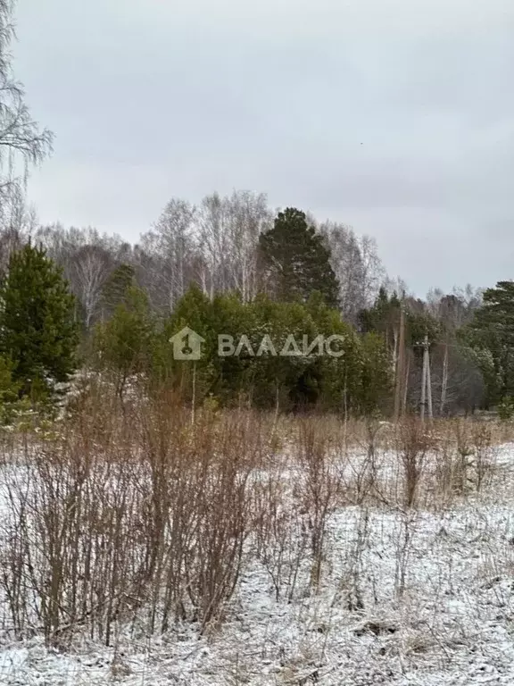 Участок в Красноярский край, Емельяновский район, Никольский ... - Фото 0