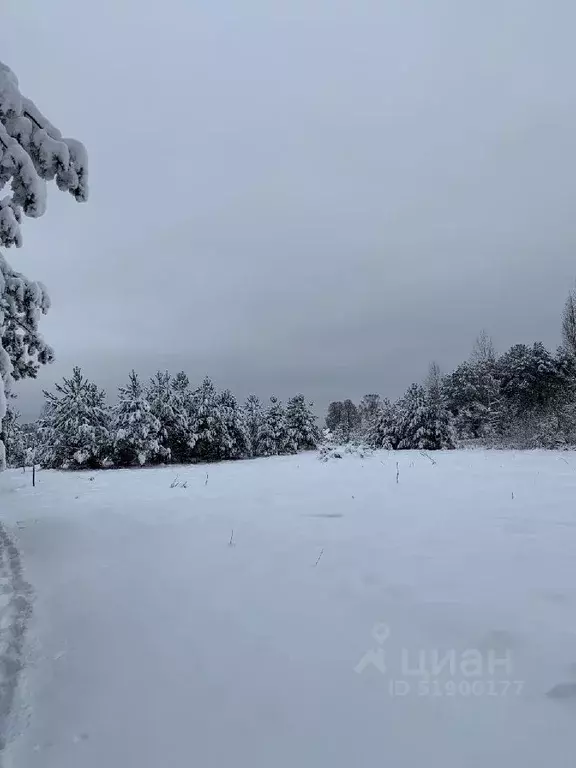 Участок в Новгородская область, Маловишерский район, д. Старые ... - Фото 0