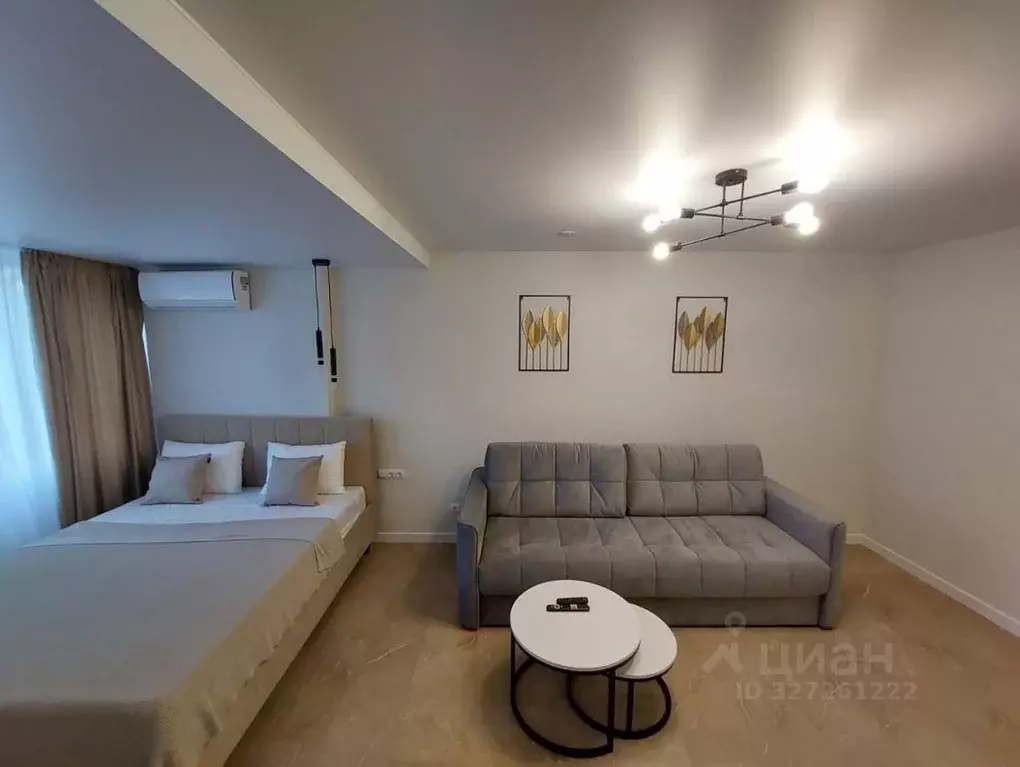 1-к кв. Краснодарский край, Сочи Центральный мкр, ул. Воровского, 56 ... - Фото 1