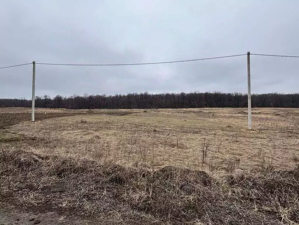 Участок в Белгородская область, Старооскольский городской округ, с. ... - Фото 1