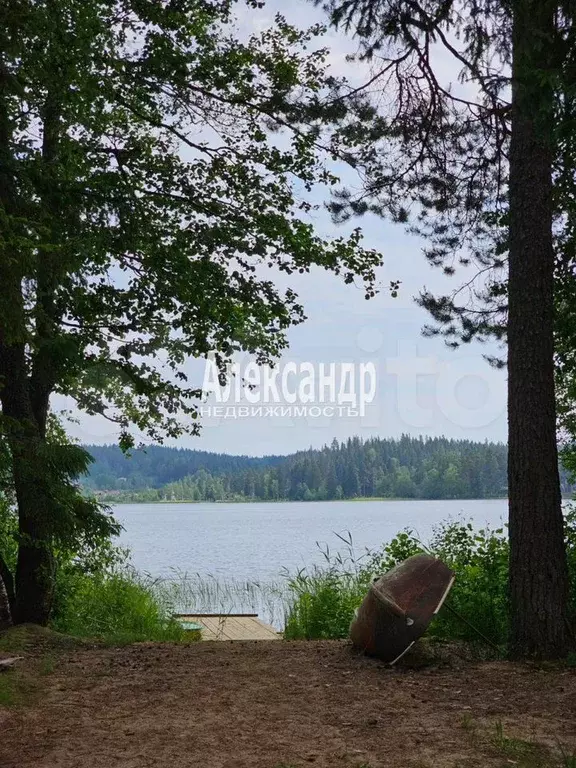 Дом 61,6 м на участке 7,7 сот. - Фото 1