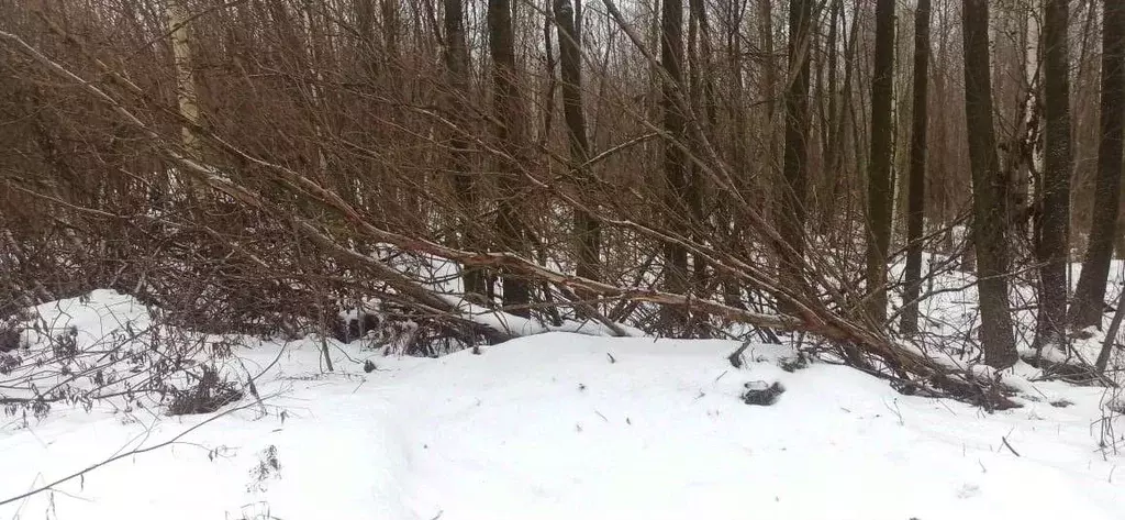 Участок в Московская область, Шатура Керва мкр,  (15.0 сот.) - Фото 0