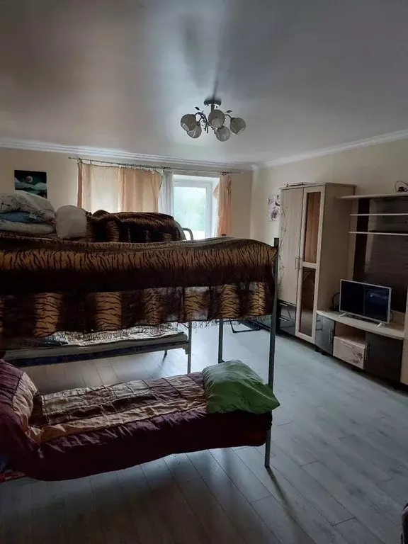 Дом в Московская область, Пушкинский городской округ, Софрино пгт ул. ... - Фото 1