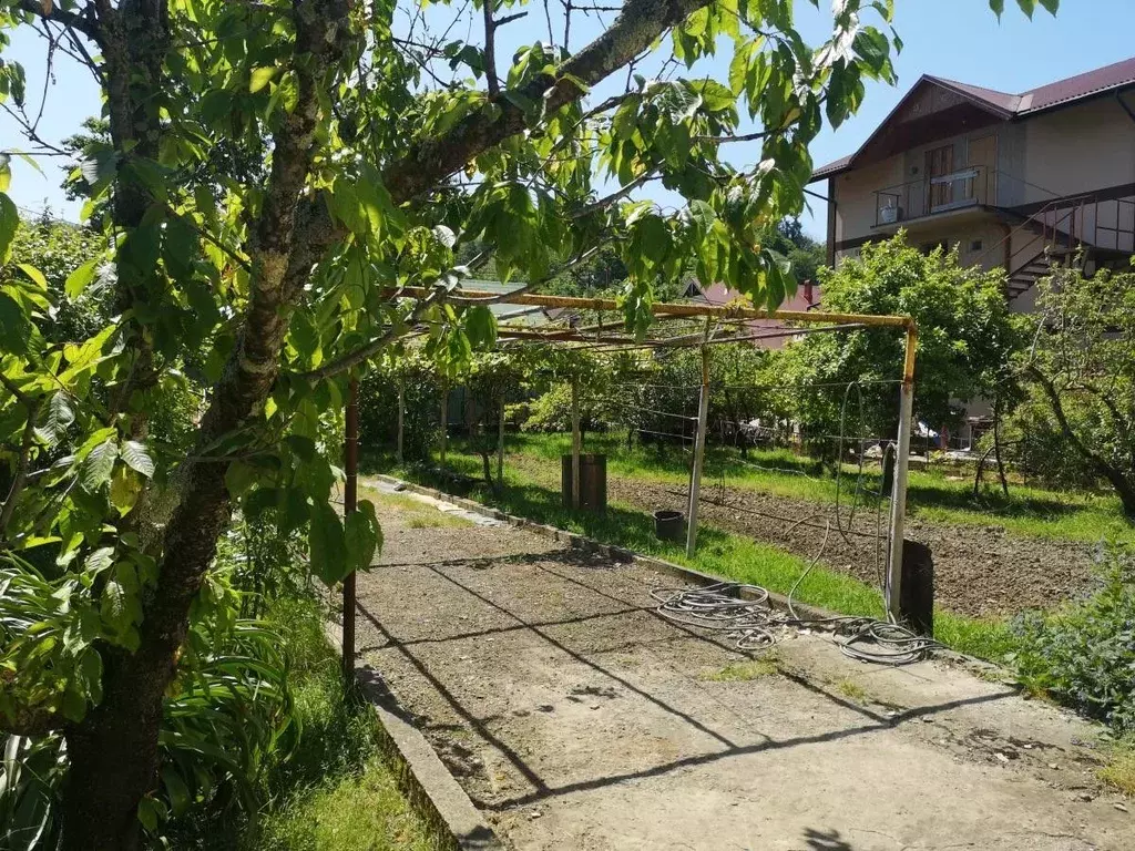 Участок в Краснодарский край, Сочи городской округ, с. Орел-Изумруд ... - Фото 0