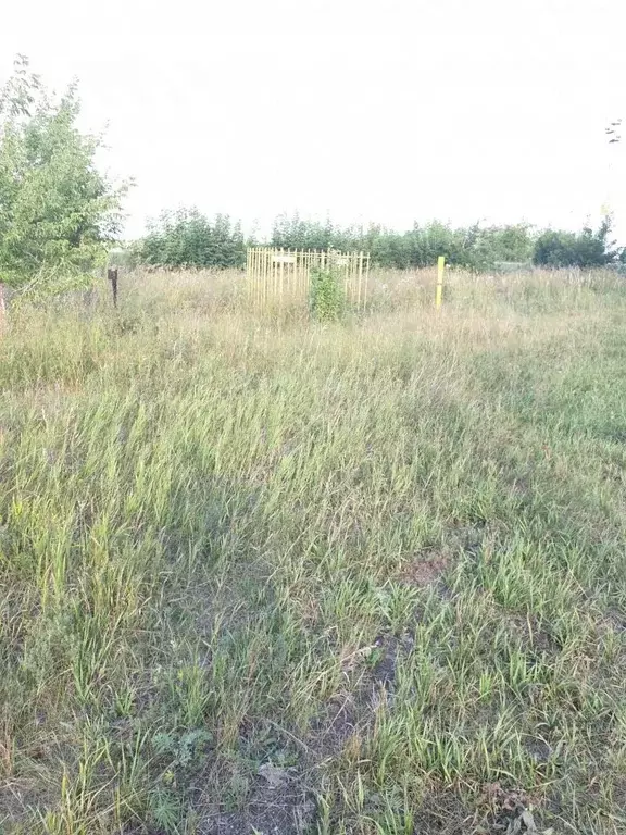 Участок в Челябинская область, Сосновский муниципальный округ, пос. ... - Фото 2