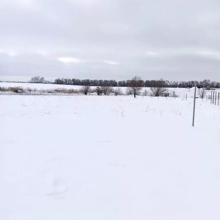 Участок в Краснодарский край, Тимашевский район, Медведовское с/пос, ... - Фото 2