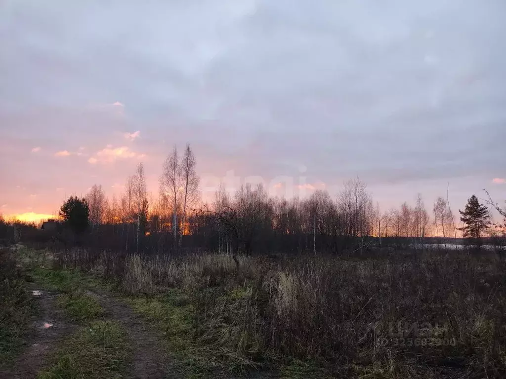 Участок в Нижегородская область, Городецкий муниципальный округ, д. ... - Фото 1