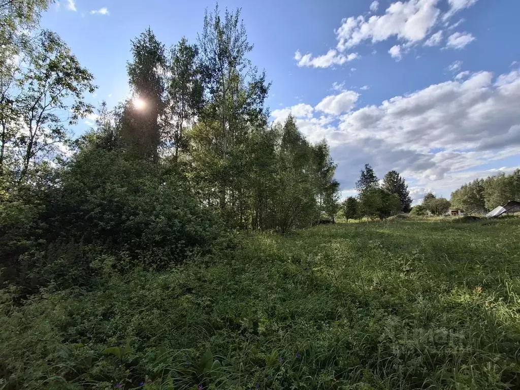Участок в Тверская область, Кимрский муниципальный округ, д. Кадниково ... - Фото 2