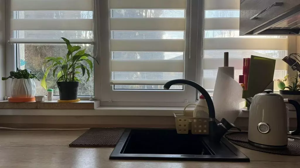 Студия Краснодарский край, Сочи ул. Тимирязева, 17А (28.0 м) - Фото 1