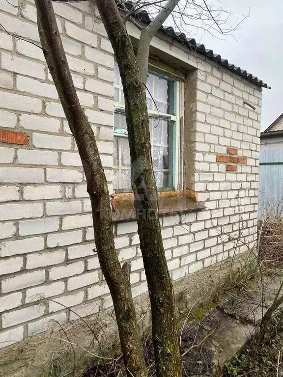 Дача 18 м на участке 18 сот. - Фото 0