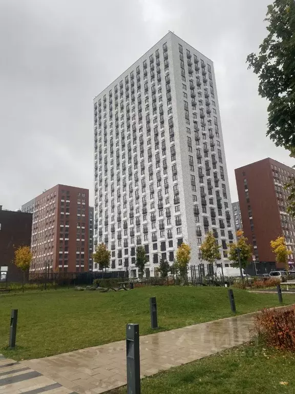 Студия Москва ул. Трехполье, 6к1 (23.5 м) - Фото 1