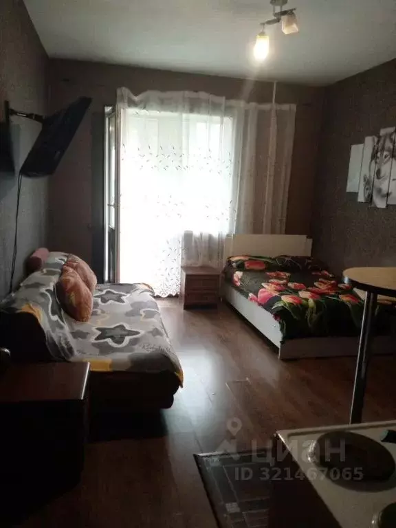 Студия Московская область, Солнечногорск городской округ, Голубое пгт ... - Фото 1