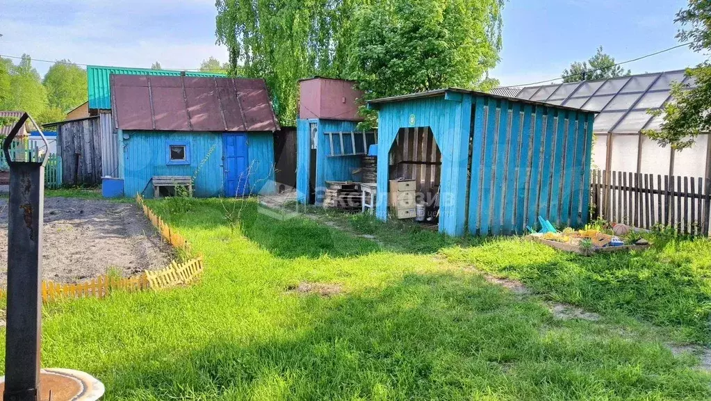 Дом в Тюменская область, с. Нижняя Тавда ул. Липовая (27 м) - Фото 0