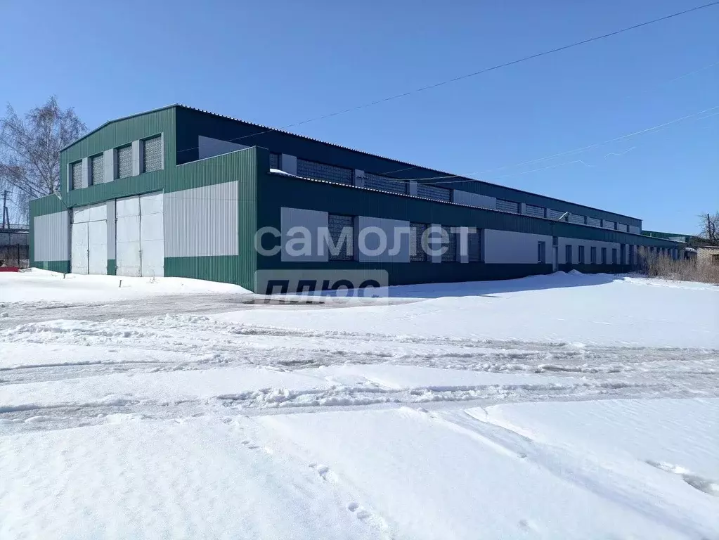 Склад в Курская область, Поселок Медвенка муниципальное образование, ... - Фото 1