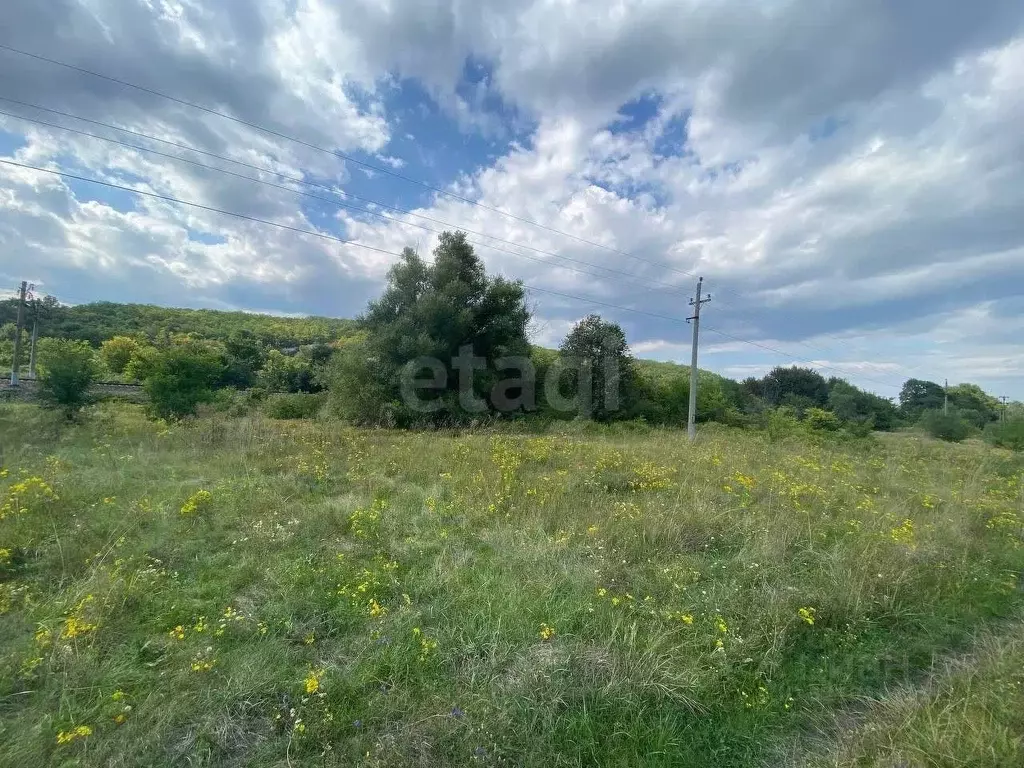Участок в Белгородская область, Прохоровский район, с. Плота  (710.0 ... - Фото 1