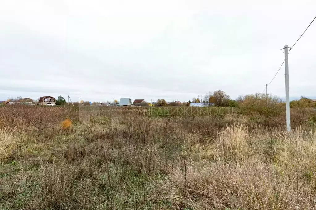 Участок в Тюменская область, Тюмень Рябинка-2 садовое товарищество,  ... - Фото 1