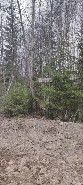 Участок в Карелия, Кондопога пер. Солнечный (14.0 сот.) - Фото 2