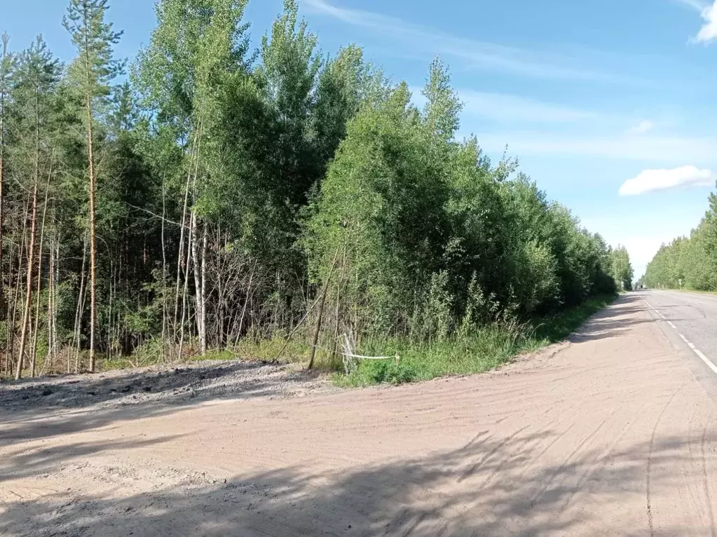 Участок в Псковская область, Стругокрасненский район, д. Катежно  ... - Фото 1