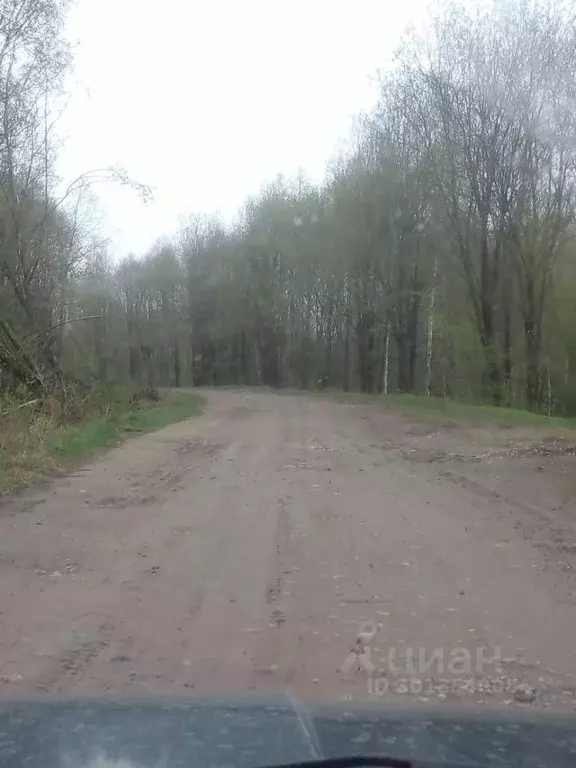 Дом в Ярославская область, Рыбинский муниципальный округ, Октябрьское ... - Фото 1