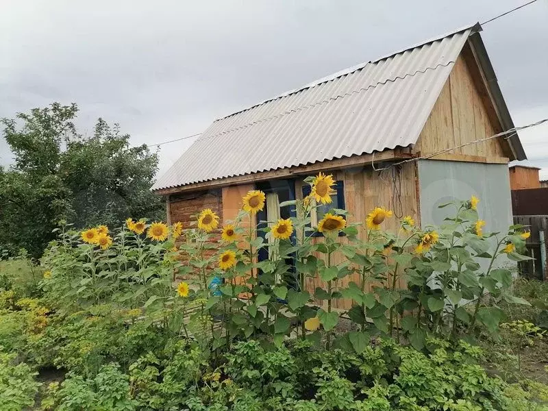 Купить Дачу В Дружбе Копейск