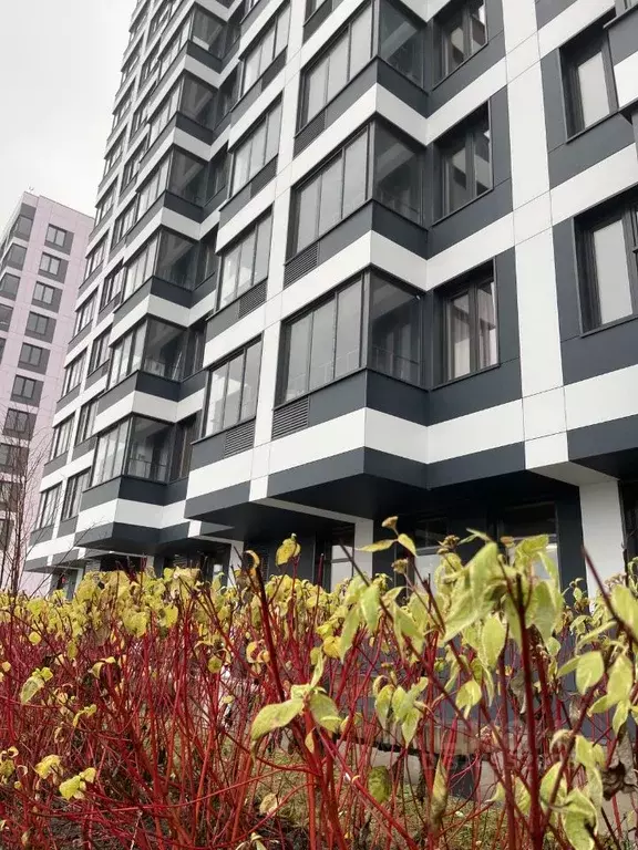 Студия Москва Новые Ватутинки жилрайон, Заречный мкр, 5/2 (28.7 м) - Фото 1