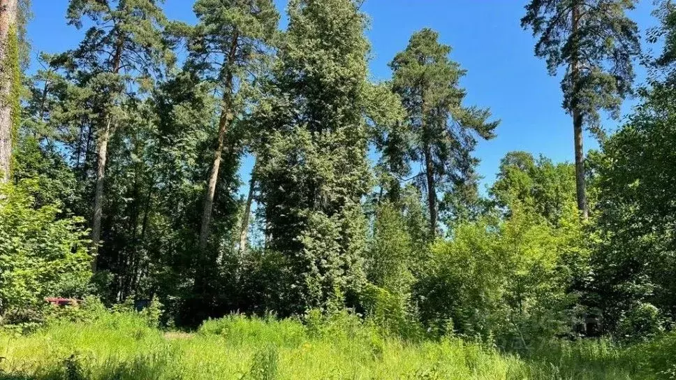 Участок в Московская область, Одинцовский городской округ, пос. ... - Фото 1