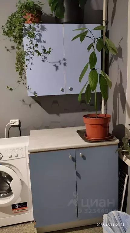 Комната Санкт-Петербург ул. Полярников, 5 (17.0 м) - Фото 1