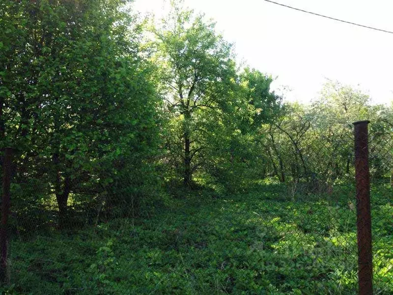 Участок в Московская область, Раменский муниципальный округ, Агрохимик ... - Фото 1