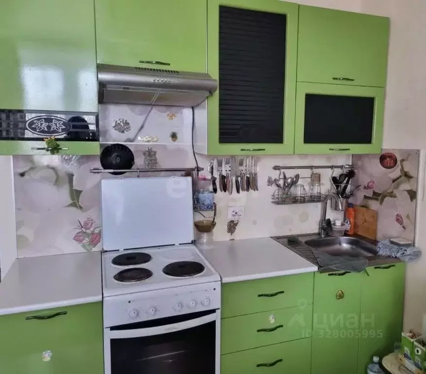 Студия Тюменская область, Тюменский муниципальный округ, Боровский рп ... - Фото 1