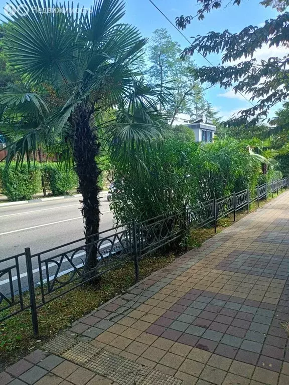 Участок в Сочи, микрорайон Светлана (20 м) - Фото 1