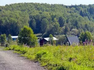 Участок в Московская область, Дмитровский городской округ, д. ... - Фото 1