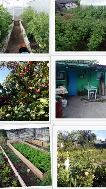 Дом в Бурятия, Улан-Удэ Зенит СНТ, ул. Квартал 5, 18 (20 м) - Фото 1
