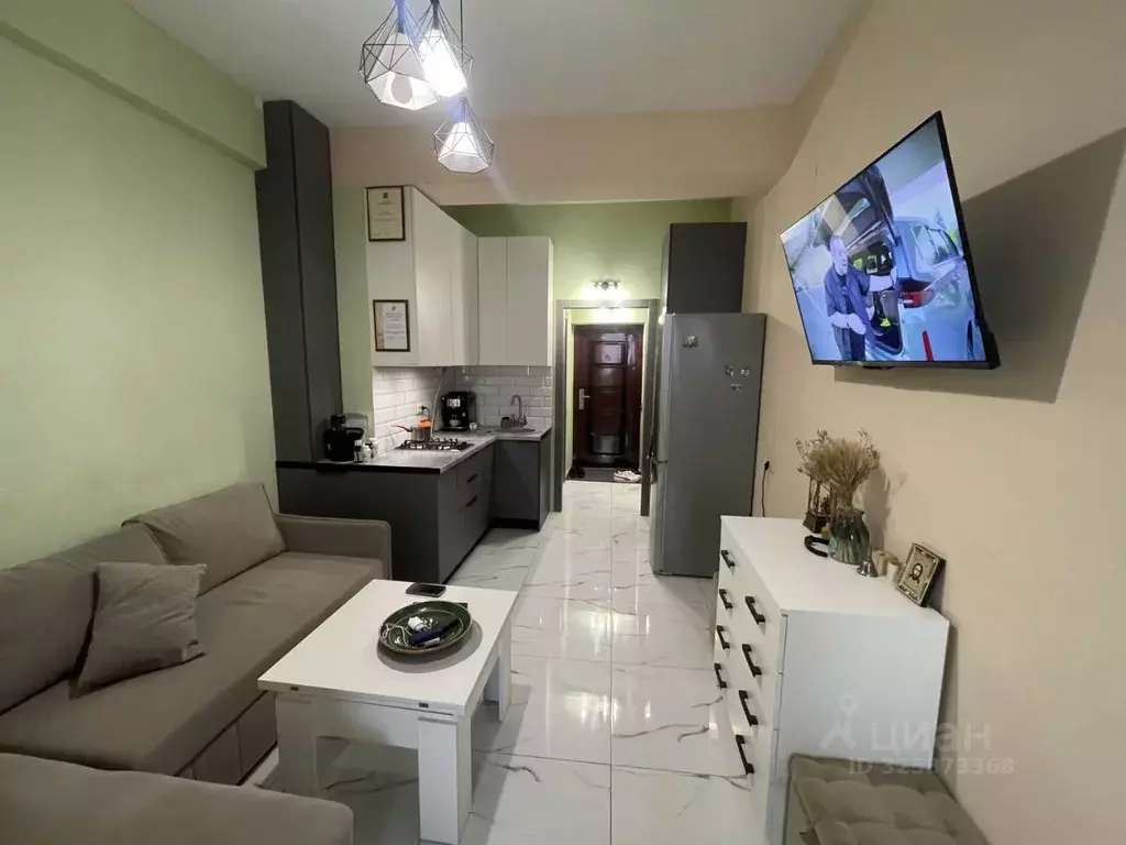 1-к кв. Краснодарский край, Сочи Транспортная ул., 78/29 (28.4 м) - Фото 2