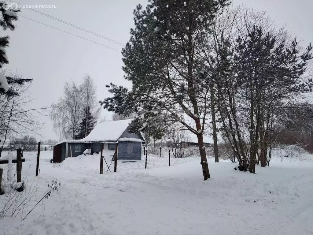 Дом в Ярославский муниципальный округ, деревня Курилково (30 м) - Фото 1