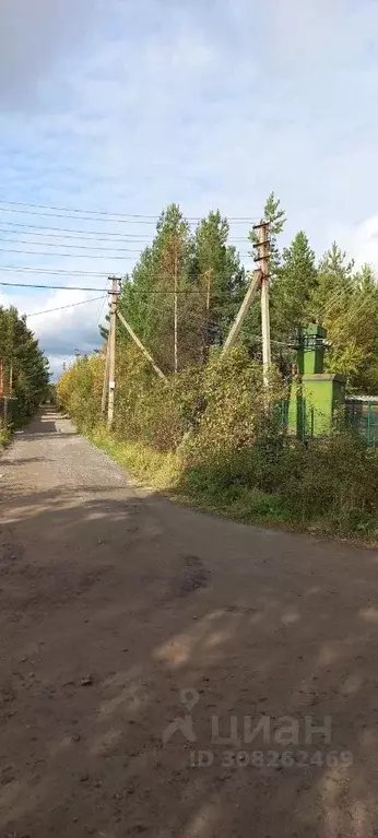 Участок в Ленинградская область, Приозерский район, Раздольевское ... - Фото 0